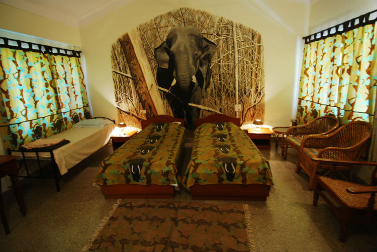Bandipur Safari Lodge